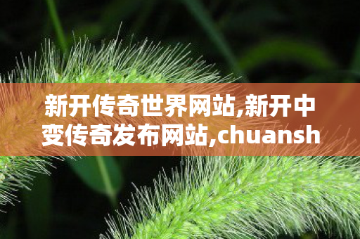 新开传奇世界网站,新开中变传奇发布网站,chuanshi,新开中变传奇发布网站
