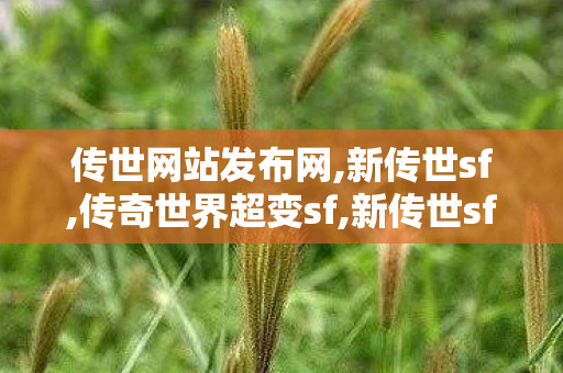 传世网站发布网,新传世sf,传奇世界超变sf,新传世sf