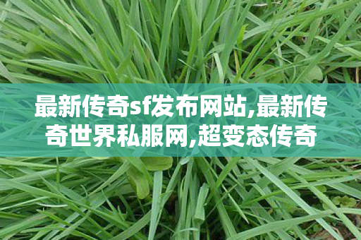 最新传奇sf发布网站,最新传奇世界私服网,超变态传奇私发服网,最新传奇世界私服网