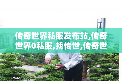 传奇世界私服发布站,传奇世界0私服,找传世,传奇世界0私服