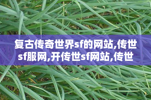 复古传奇世界sf的网站,传世sf服网,开传世sf网站,传世sf服网