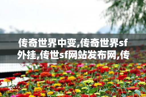 传奇世界中变,传奇世界sf外挂,传世sf网站发布网,传奇世界sf外挂