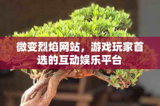 微变烈焰网站，游戏玩家首选的互动娱乐平台