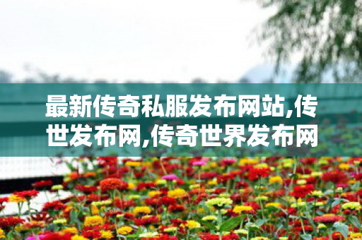 最新传奇私服发布网站,传世发布网,传奇世界发布网站,传世发布网