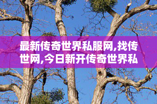 最新传奇世界私服网,找传世网,今日新开传奇世界私服网站,找传世网