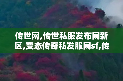 传世网,传世私服发布网新区,变态传奇私发服网sf,传世私服发布网新区