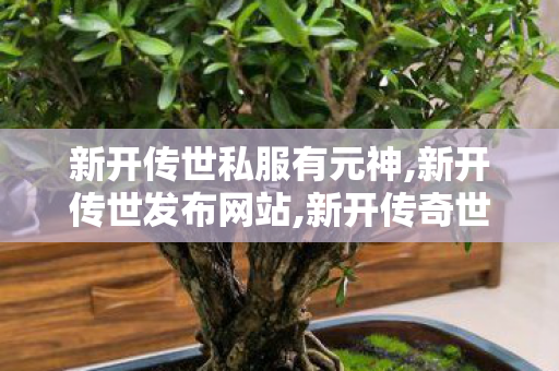 新开传世私服有元神,新开传世发布网站,新开传奇世界私服发布,新开传世发布网站