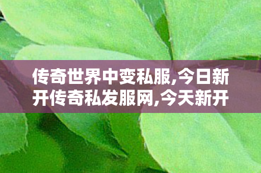 传奇世界中变私服,今日新开传奇私发服网,今天新开私服,今日新开传奇私发服网