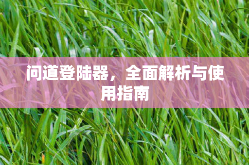 问道登陆器，全面解析与使用指南