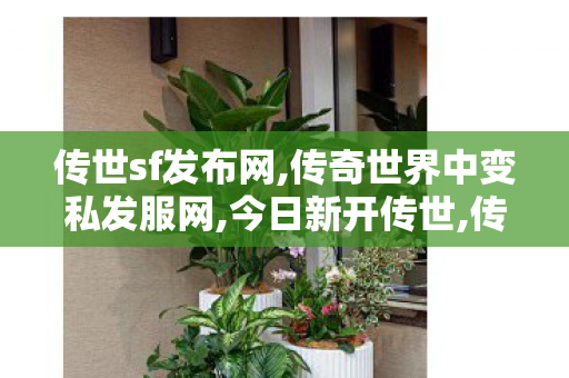 传世sf发布网,传奇世界中变私发服网,今日新开传世,传奇世界中变私发服网