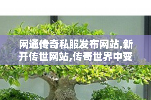 网通传奇私服发布网站,新开传世网站,传奇世界中变私服,新开传世网站
