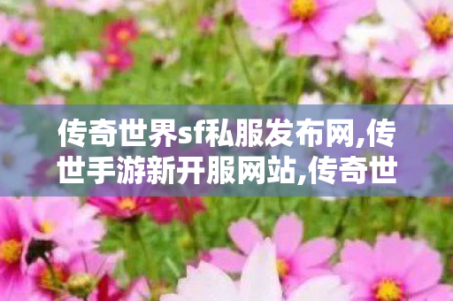 传奇世界sf私服发布网,传世手游新开服网站,传奇世界中变,传世手游新开服网站