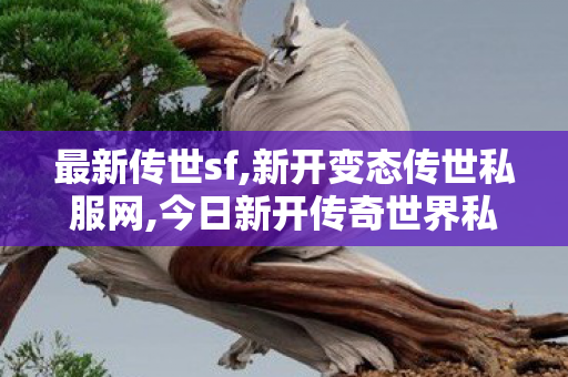 最新传世sf,新开变态传世私服网,今日新开传奇世界私发服网,新开变态传世私服网