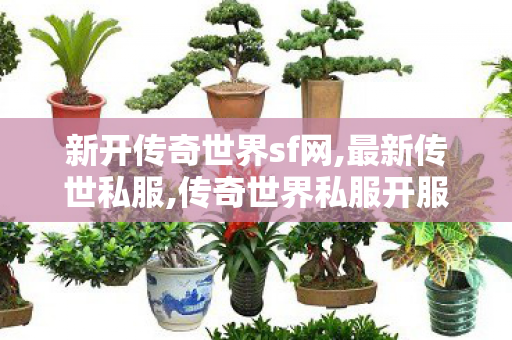 新开传奇世界sf网,最新传世私服,传奇世界私服开服,最新传世私服