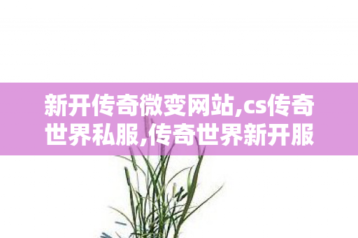 新开传奇微变网站,cs传奇世界私服,传奇世界新开服的发布网,cs传奇世界私服
