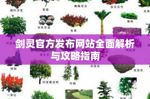 剑灵官方发布网站全面解析与攻略指南
