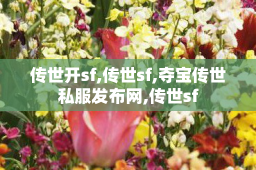传世开sf,传世sf,夺宝传世私服发布网,传世sf