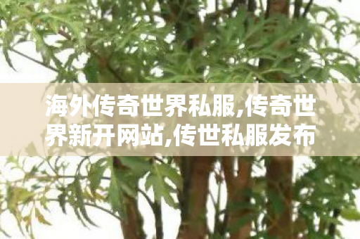 海外传奇世界私服,传奇世界新开网站,传世私服发布网新开服,传奇世界新开网站