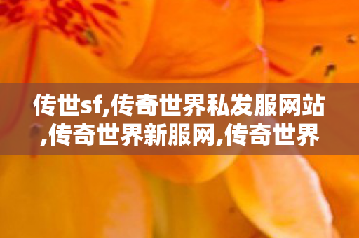 传世sf,传奇世界私发服网站,传奇世界新服网,传奇世界私发服网站