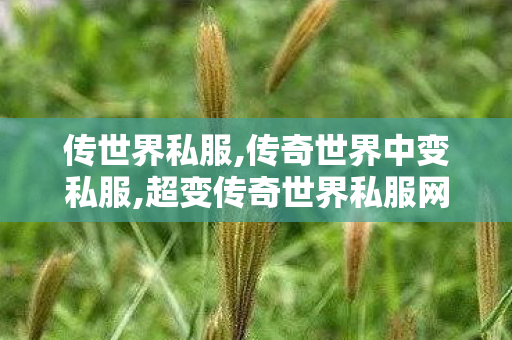 传世界私服,传奇世界中变私服,超变传奇世界私服网,传奇世界中变私服