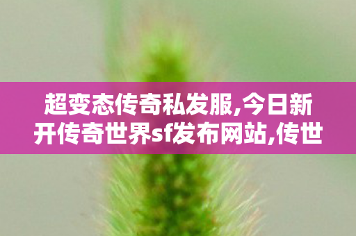 超变态传奇私发服,今日新开传奇世界sf发布网站,传世官网,今日新开传奇世界sf发布网站