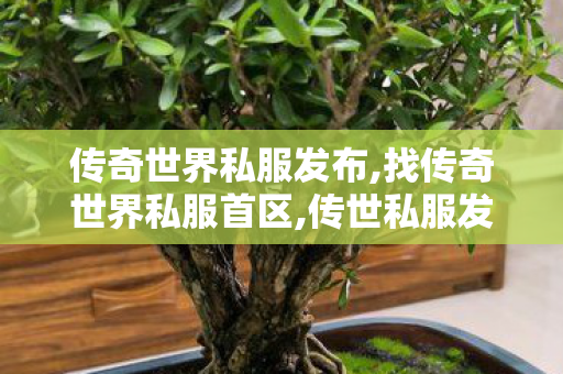 传奇世界私服发布,找传奇世界私服首区,传世私服发布网站,找传奇世界私服首区