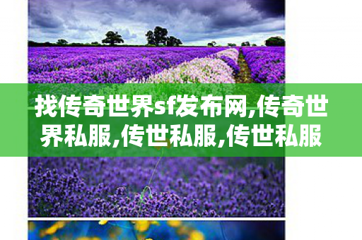 找传奇世界sf发布网,传奇世界私服,传世私服,传世私服平台大全,传奇世界私服,传世私服