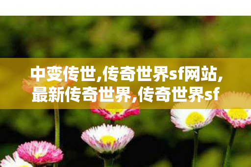 中变传世,传奇世界sf网站,最新传奇世界,传奇世界sf网站