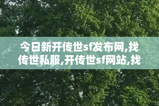 今日新开传世sf发布网,找传世私服,开传世sf网站,找传世私服