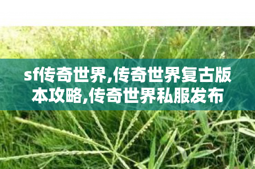sf传奇世界,传奇世界复古版本攻略,传奇世界私服发布网新开服发布吧,传奇世界复古版本攻略