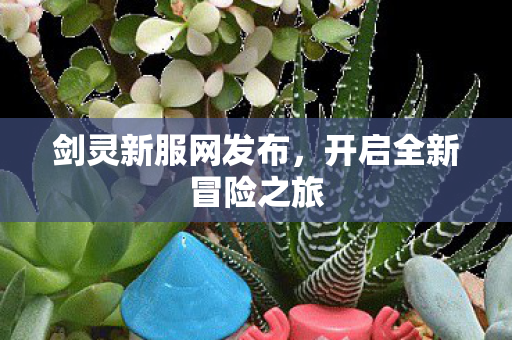 剑灵新服网发布，开启全新冒险之旅