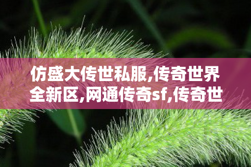 仿盛大传世私服,传奇世界全新区,网通传奇sf,传奇世界全新区