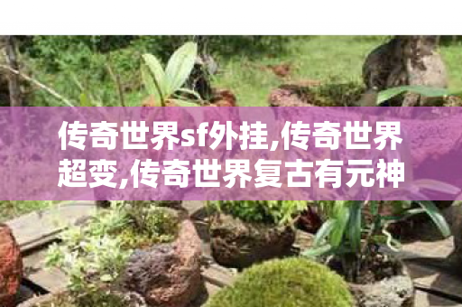 传奇世界sf外挂,传奇世界超变,传奇世界复古有元神,传奇世界超变