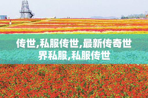 传世,私服传世,最新传奇世界私服,私服传世