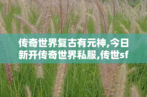 传奇世界复古有元神,今日新开传奇世界私服,传世sf网站发布网,今日新开传奇世界私服