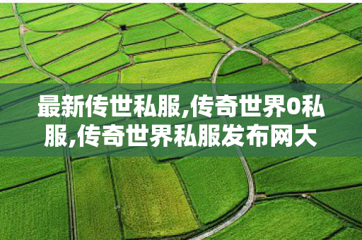 最新传世私服,传奇世界0私服,传奇世界私服发布网大全,传奇世界0私服