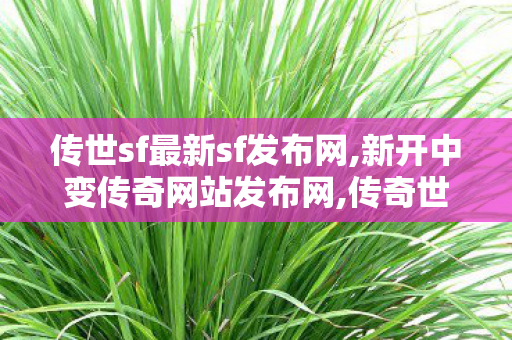 传世sf最新sf发布网,新开中变传奇网站发布网,传奇世界0复古私服,新开中变传奇网站发布网