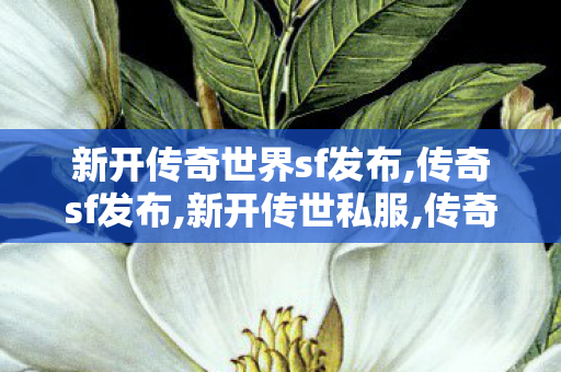 新开传奇世界sf发布,传奇sf发布,新开传世私服,传奇sf发布