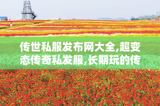 传世私服发布网大全,超变态传奇私发服,长期玩的传奇私服,超变态传奇私发服
