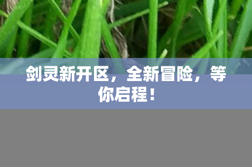 剑灵新开区，全新冒险，等你启程！