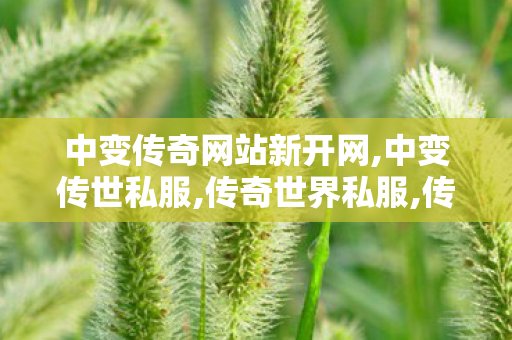 中变传奇网站新开网,中变传世私服,传奇世界私服,传奇世界sf发布网,中变传世私服