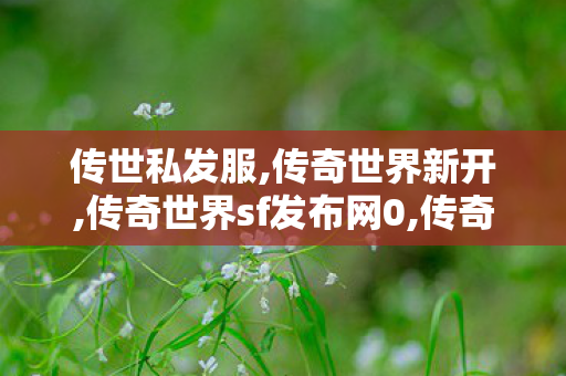 传世私发服,传奇世界新开,传奇世界sf发布网0,传奇世界新开