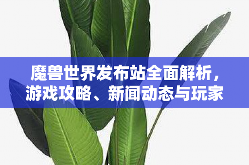 魔兽世界发布站全面解析，游戏攻略、新闻动态与玩家社区交流平台