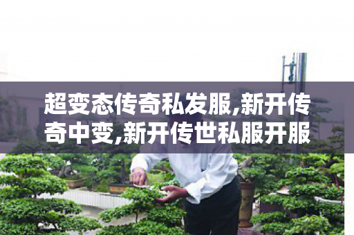 超变态传奇私发服,新开传奇中变,新开传世私服开服表,新开传奇中变