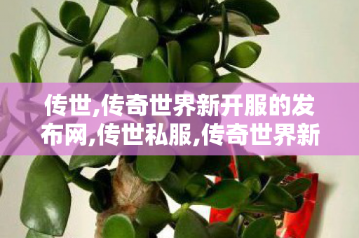 传世,传奇世界新开服的发布网,传世私服,传奇世界新开服的发布网