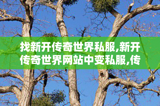 找新开传奇世界私服,新开传奇世界网站中变私服,传奇新服网sf,新开传奇世界网站中变私服