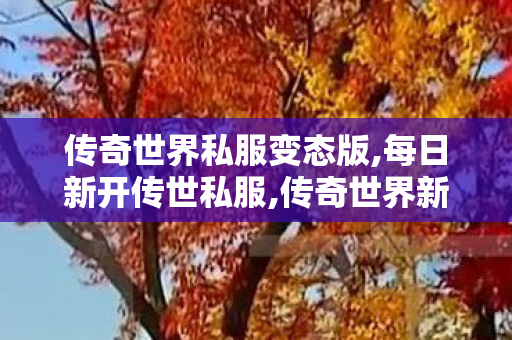 传奇世界私服变态版,每日新开传世私服,传奇世界新开服网站,每日新开传世私服