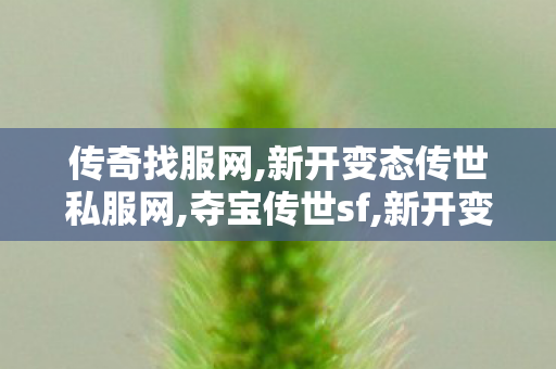 传奇找服网,新开变态传世私服网,夺宝传世sf,新开变态传世私服网