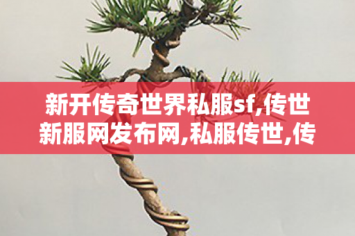 新开传奇世界私服sf,传世新服网发布网,私服传世,传世新服网发布网
