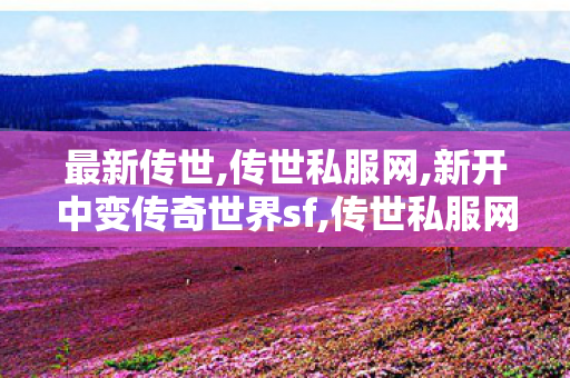 最新传世,传世私服网,新开中变传奇世界sf,传世私服网